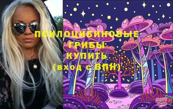 крисы Белоозёрский
