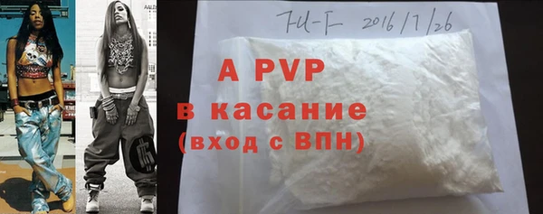 крисы Белоозёрский