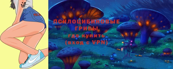 марки lsd Богородск
